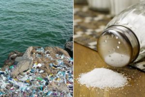 Salt_Web-independent_news