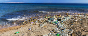 Garbage in the Beach