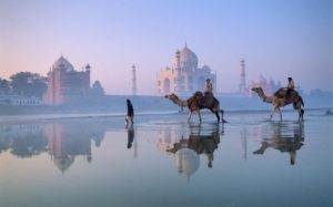 India-camel-Riding
