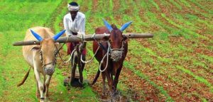 Rural-Indian-farmer-chattishgarh