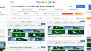 Pakistan-flag_best toilet paper