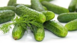 cucumber-at night