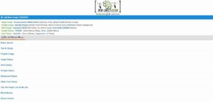 Mr jatt_website_online songs