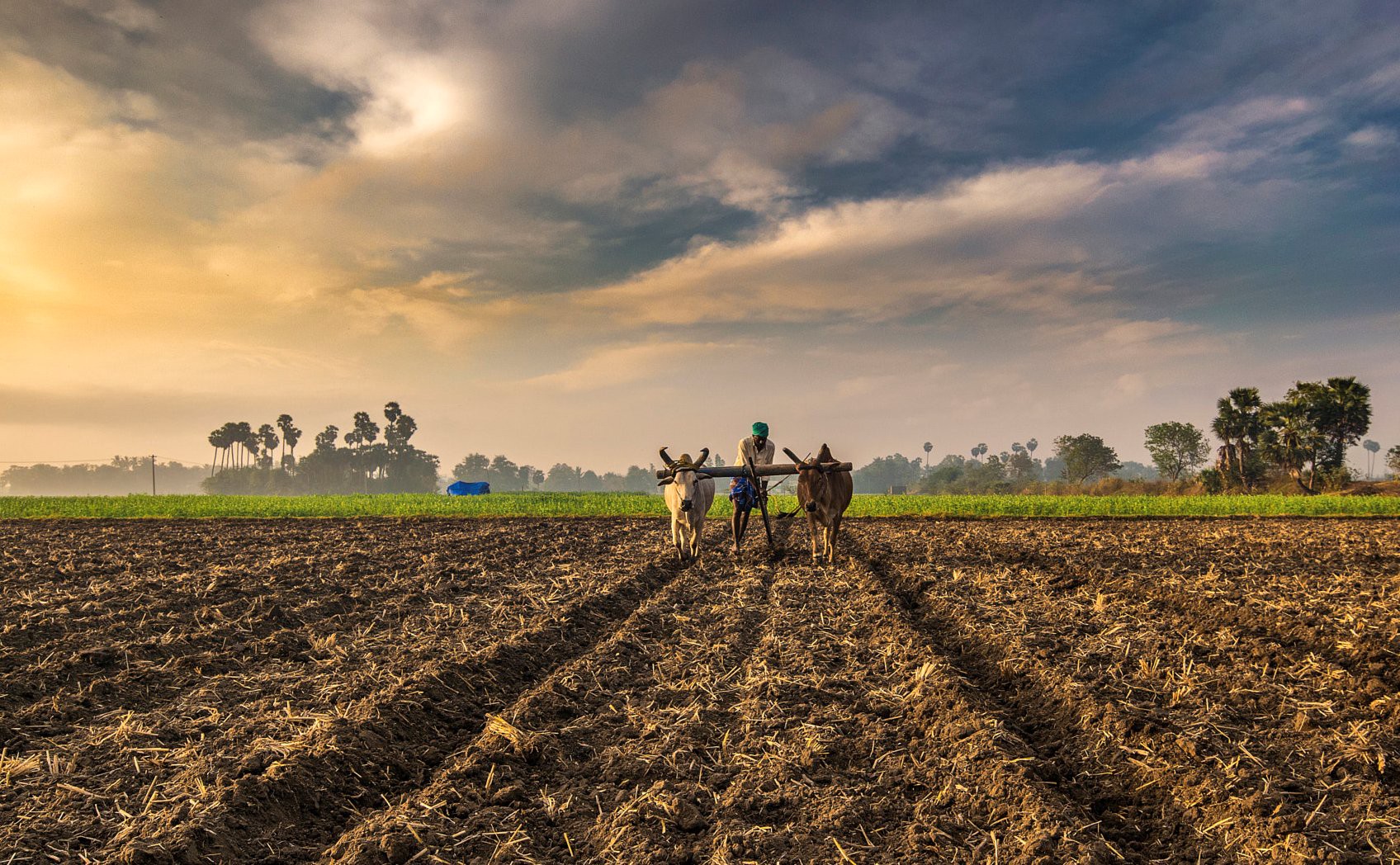 Success Story : उत्तर प्रदेश का ये शख्स मामूली नौकरी से कमाता था 2500 रुपए, जानिए कैसे खेती करके बना करोड़पति