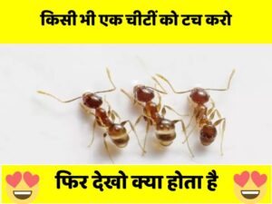 फिर-देखो-क्या-होता-है-1 3