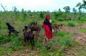14_06_201347155julie-adivasi-story-1-1 3
