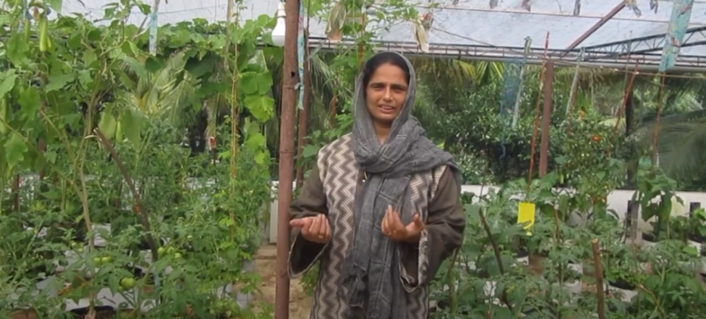 Sulfath Moideen : गरीबी से जूझ रही महिला ने शुरू की घर की छत पर खेती, कमाती हैं 2.5 लाख रुपए 1