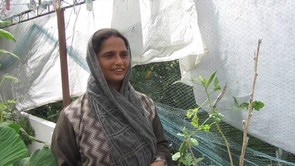 Sulfath Moideen : गरीबी से जूझ रही महिला ने शुरू की घर की छत पर खेती, कमाती हैं 2.5 लाख रुपए 2