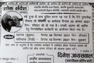 21875989 3