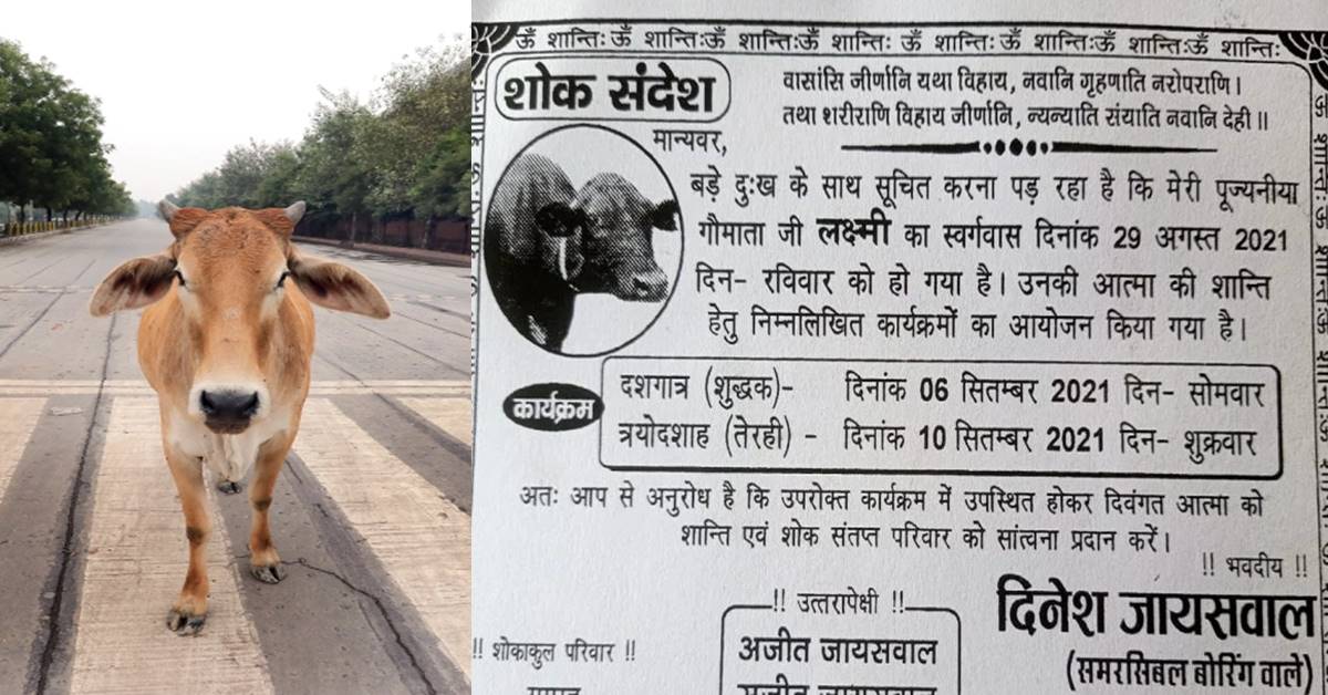 cow in jaunpur : उत्तर प्रदेश में गाय की मौत, अंतिम संस्कार कर छपवाया शोक संदेश अब तेरहवीं में कार्ड बांटकर दे रहे भोज का निमंत्रण