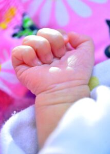 new-born-2979076_1280 3