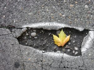 ian-taylor-cZokzzlC3KM-unsplash 3