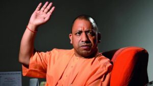 yogi 3