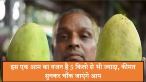 noorjahan mango